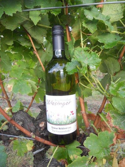 Gaunersdorfer Grüner Veltliner_Wiesinger, Müllner