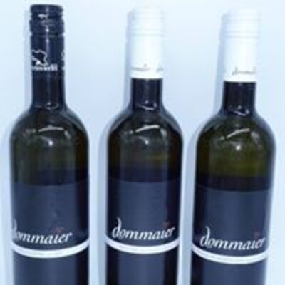 Riesling_Anna Dommaier
